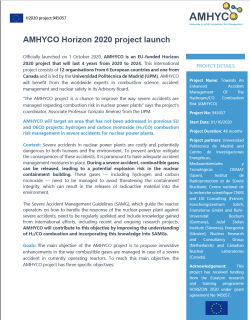 Press Release Amhyco Project Launch V6